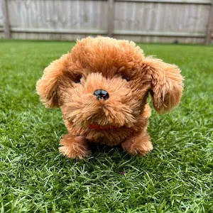 funwithpuppy0