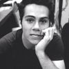 teen.wolf.is.ours