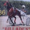 vincenzoveneroso7