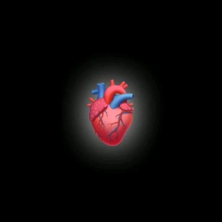 0vibemusic