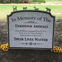 @animalrightsdaily