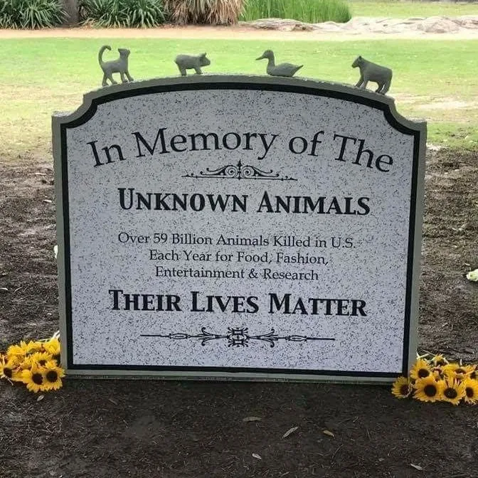 animalrightsdaily