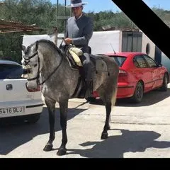 enrikesalas90