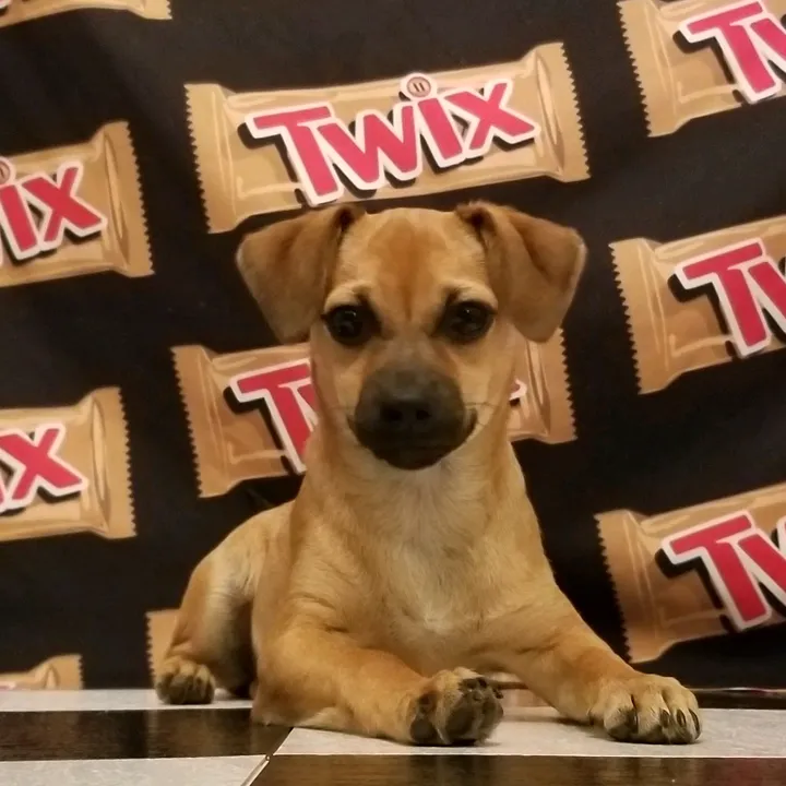 twixthetornado