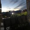 franknny1