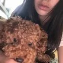 @lilyyeea0