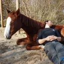 @von_kopf_bis_huf