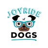 joyrideharness