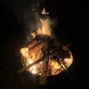@wiseguy_xo