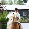 reiten.vorhop
