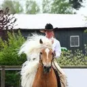 @reiten.vorhop