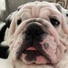 mommajane0102