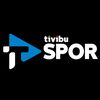 tivibuspor