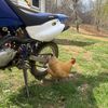 clapped_yamaha1