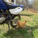 @clapped_yamaha1