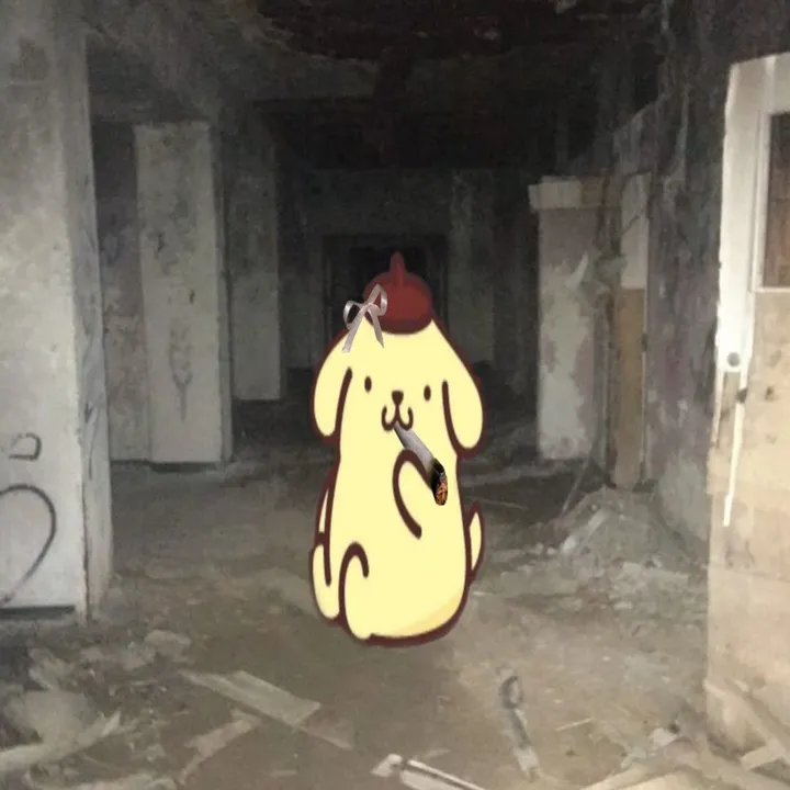 shydaizx
