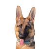 tipsythegsd