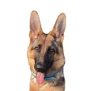 @tipsythegsd