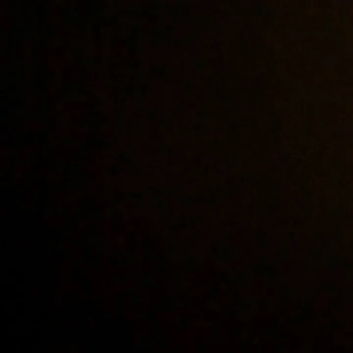 jaylajacobs5
