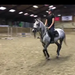 eventingridersx