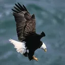 @ismailamermirza