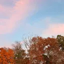 @g12345678910113