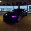 blackout_coyote