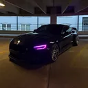 @blackout_coyote