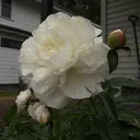 @kreome00