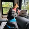 vinnyandchloe