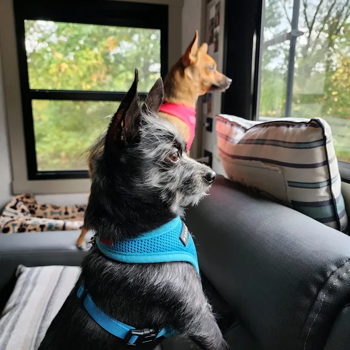 vinnyandchloe
