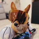 @aircorg