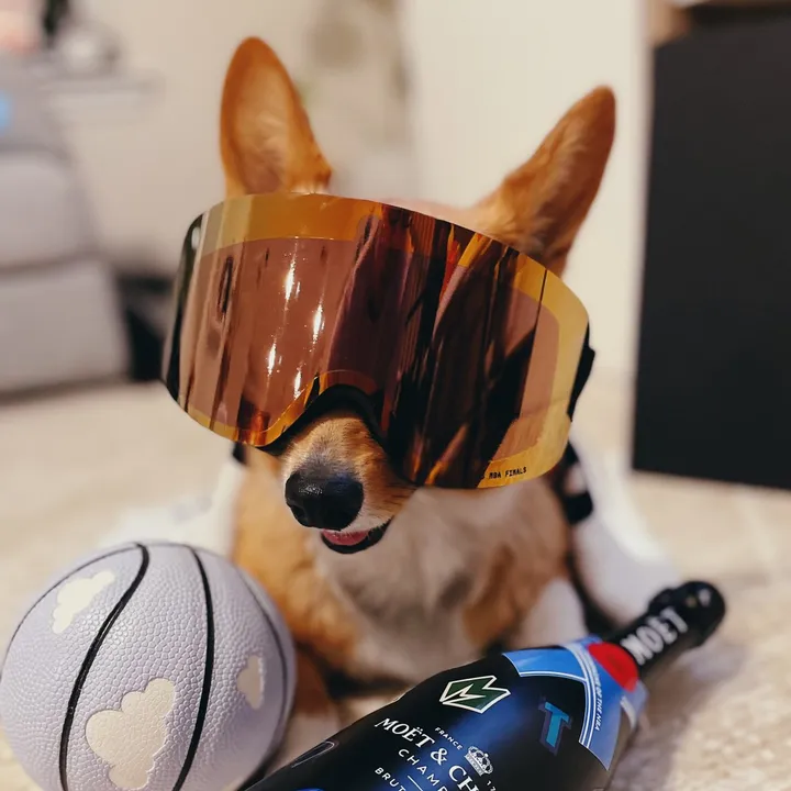 @aircorg