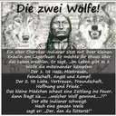 @svenwilms3