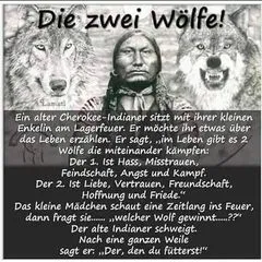 @svenwilms3