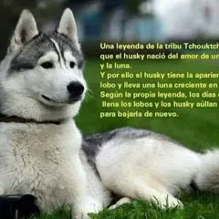 user723091919