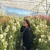maphirose20