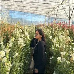 @maphirose20