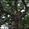 earthawareness0