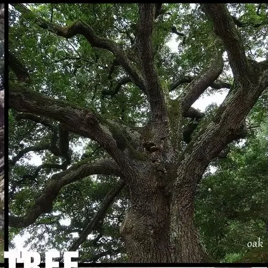@earthawareness0