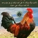 @user9749926121396