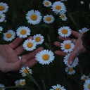 @dthtnns