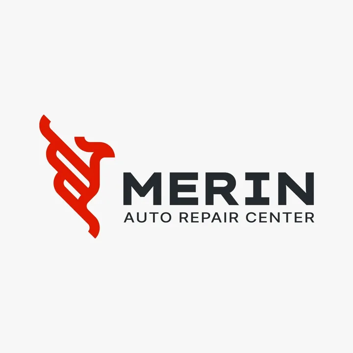 merin.motors