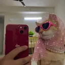 @samanthannoriega