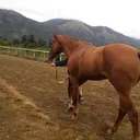 @horacio.bahamonde
