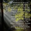 puac.gonzalez6