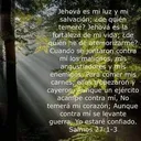 @puac.gonzalez6