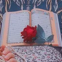 @maryamofficle0