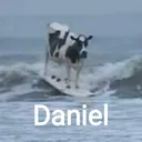 @user_dlill
