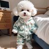 bandly_pet